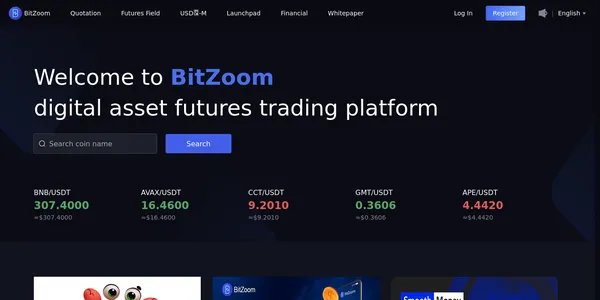 Bitzoom home page image