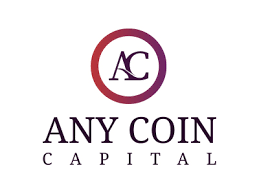 Any Coin Capital